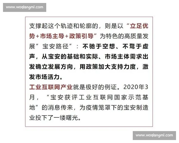 以骨干力量为核心引领全面提升组织战斗力与高质量发展新格局的实践路径探索